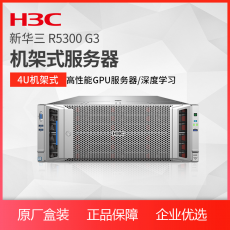 H3C R5300 双路机架式服务器 4U